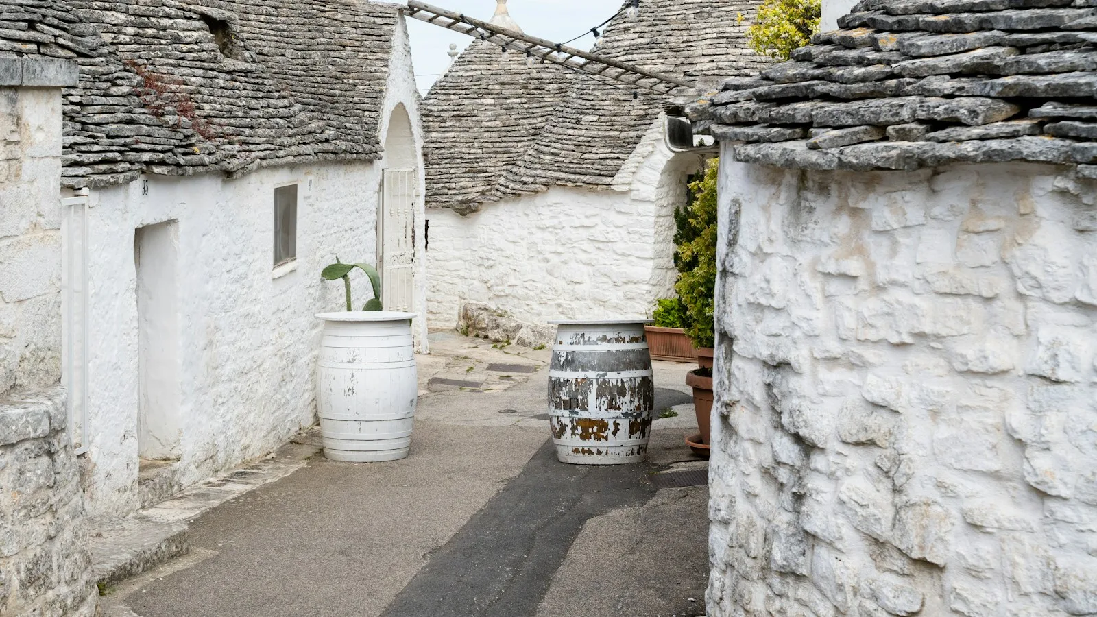 Trullo à toit de pierres sèches au milieu des oliviers dans la vallée d'Itria, Pouilles