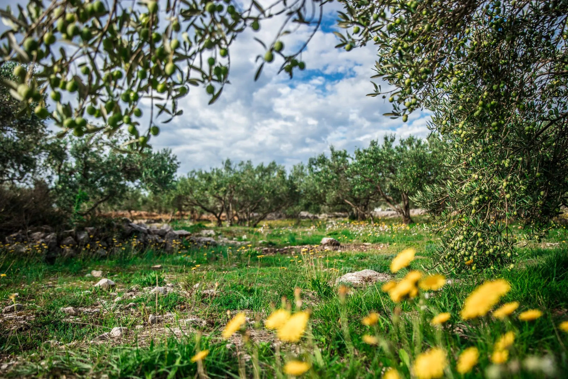Dormir dans une masseria (l'expérience typique des Pouilles)