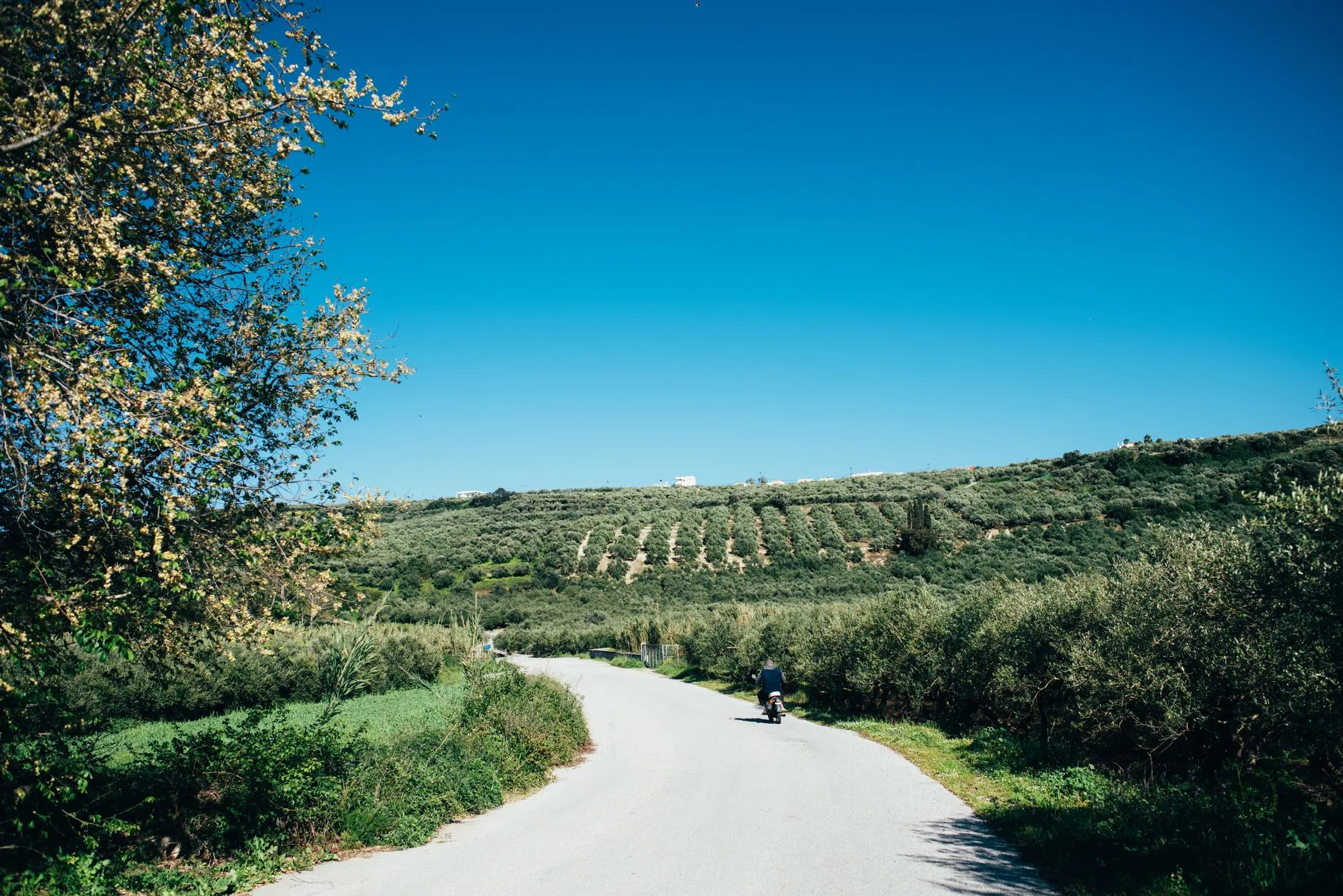 Vélo et e-bike : la liberté pour les courtes distances