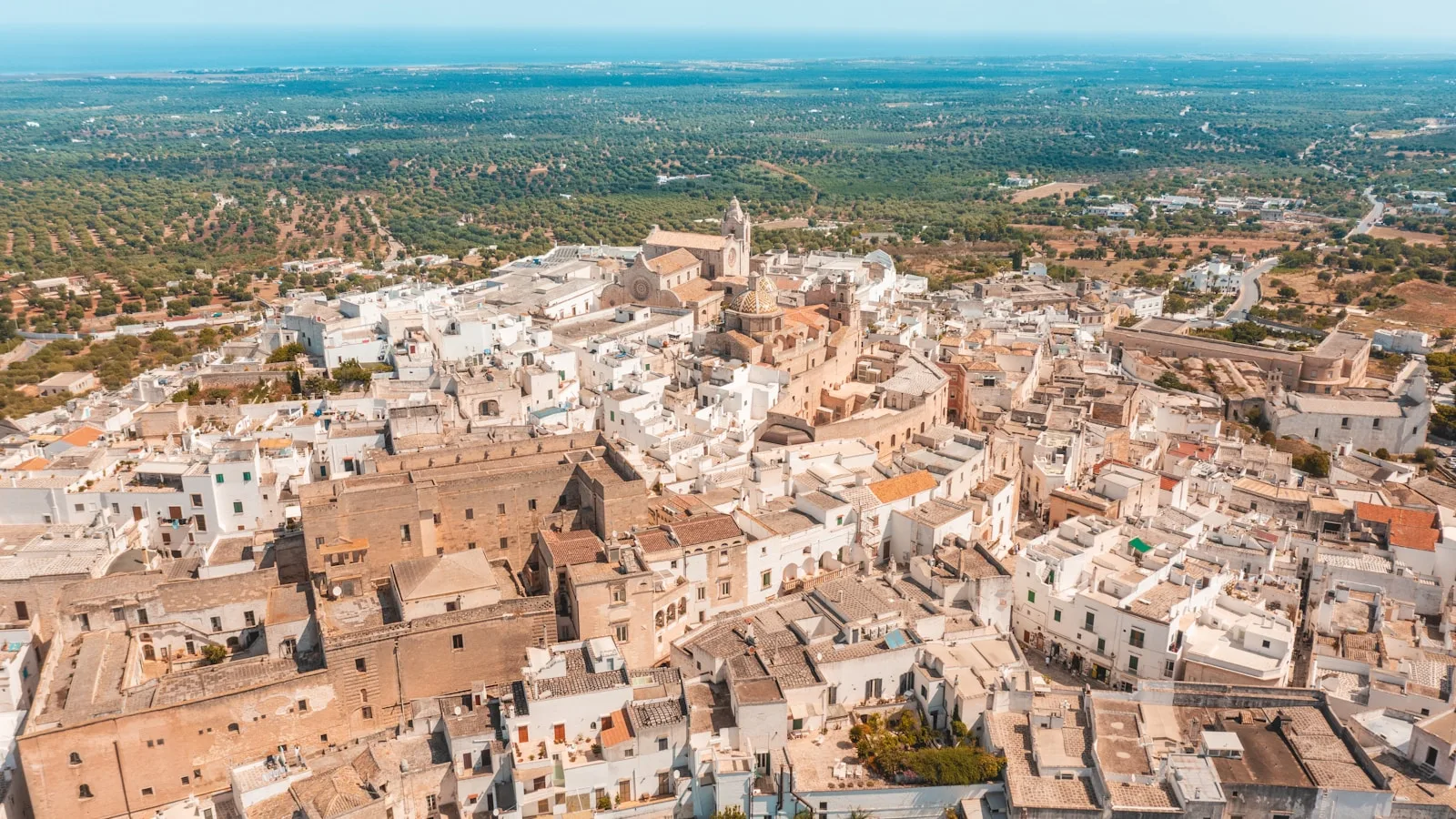 Où manger végétarien ou végan ville par ville