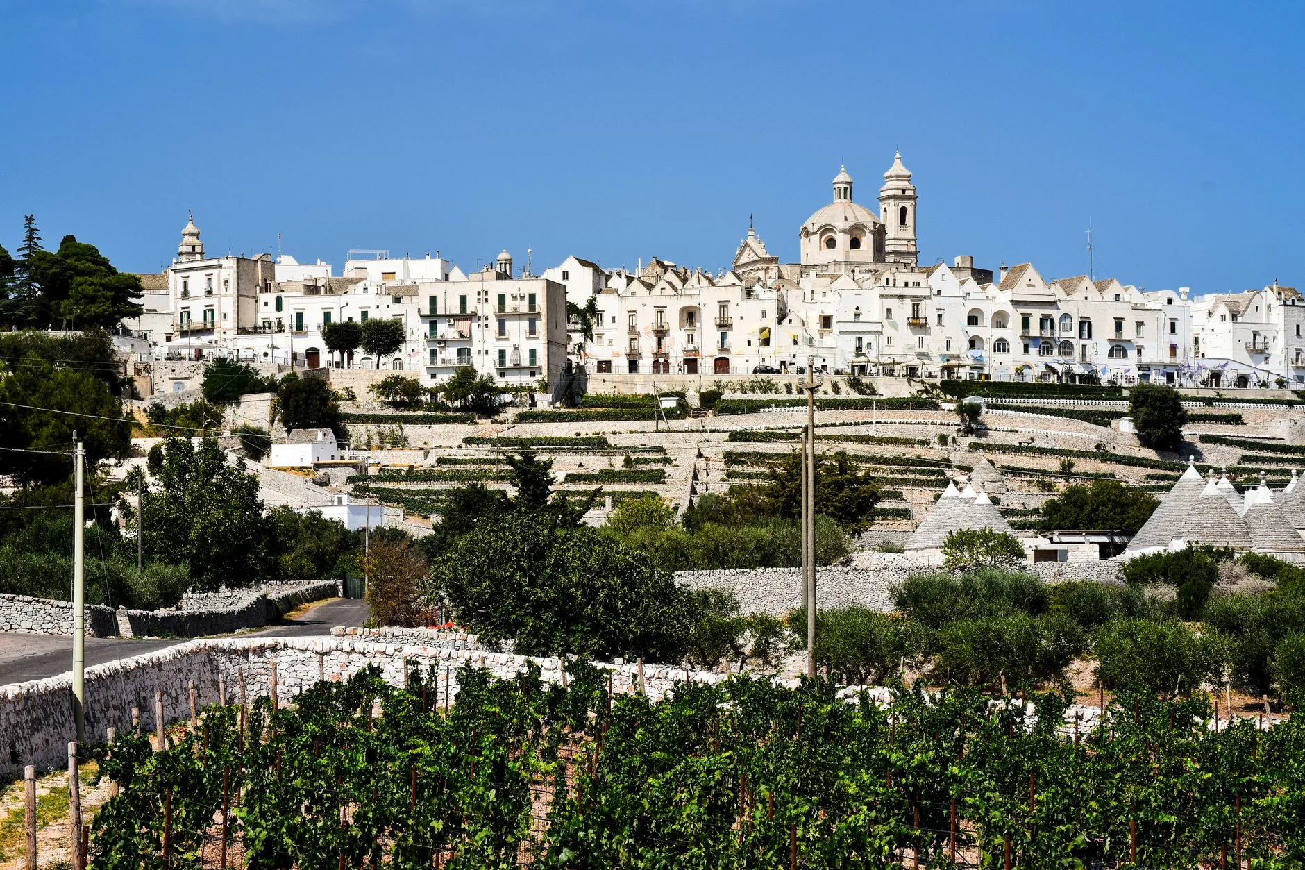 Le Primitivo : le vin rouge emblématique du Salento